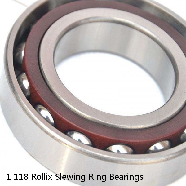 1 118 Rollix Slewing Ring Bearings