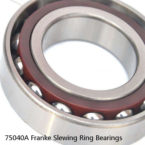 75040A Franke Slewing Ring Bearings