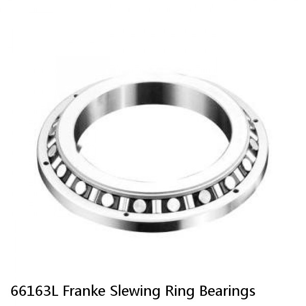 66163L Franke Slewing Ring Bearings