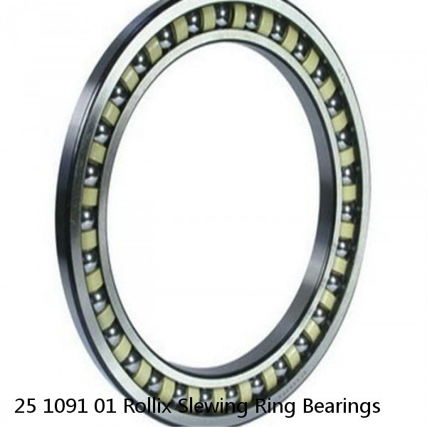 25 1091 01 Rollix Slewing Ring Bearings