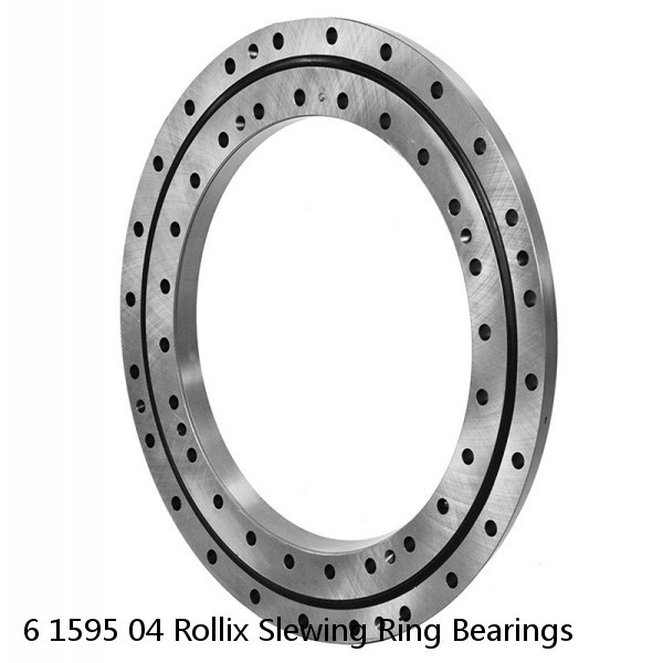 6 1595 04 Rollix Slewing Ring Bearings