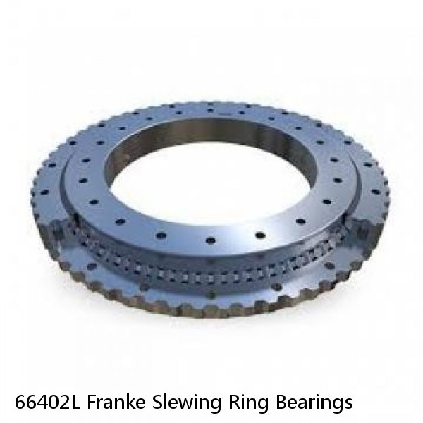 66402L Franke Slewing Ring Bearings