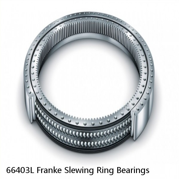 66403L Franke Slewing Ring Bearings