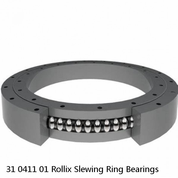 31 0411 01 Rollix Slewing Ring Bearings