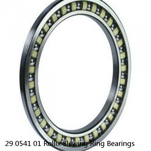 29 0541 01 Rollix Slewing Ring Bearings