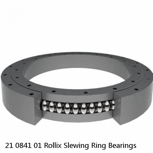 21 0841 01 Rollix Slewing Ring Bearings