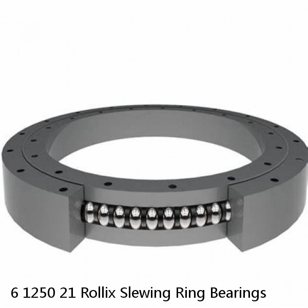 6 1250 21 Rollix Slewing Ring Bearings