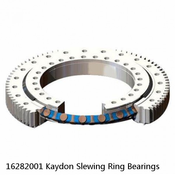 16282001 Kaydon Slewing Ring Bearings