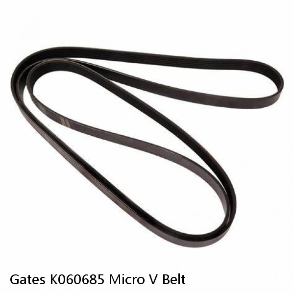 Gates K060685 Micro V Belt 