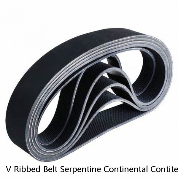 V Ribbed Belt Serpentine Continental Contitech 4PK582